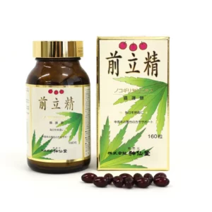 神仙堂前立精